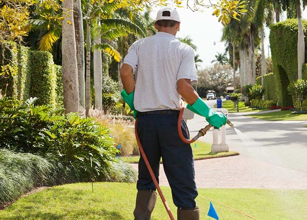 About Hinton WV Pest Control